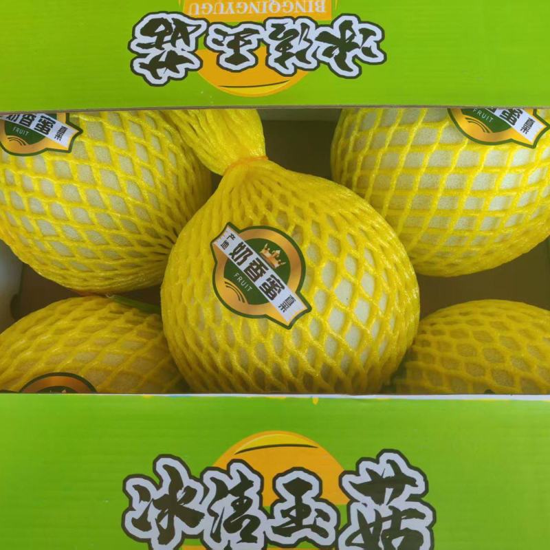 玉菇甜瓜，产地直发，诚信经营，品质保证，服务周到，货源足