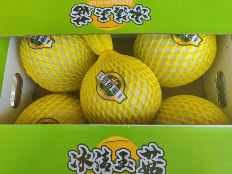 玉菇甜瓜，产地直发，诚信经营，品质保证，服务周到，货源足