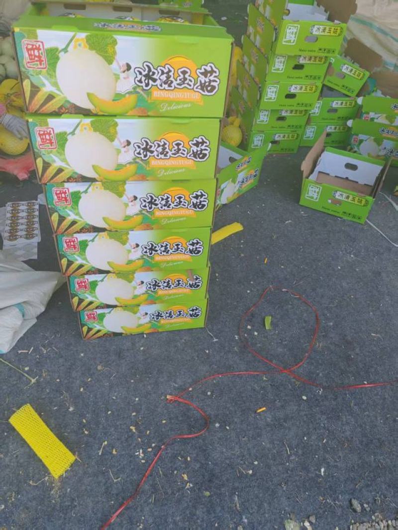 玉菇甜瓜，产地直发，诚信经营，品质保证，服务周到，货源足