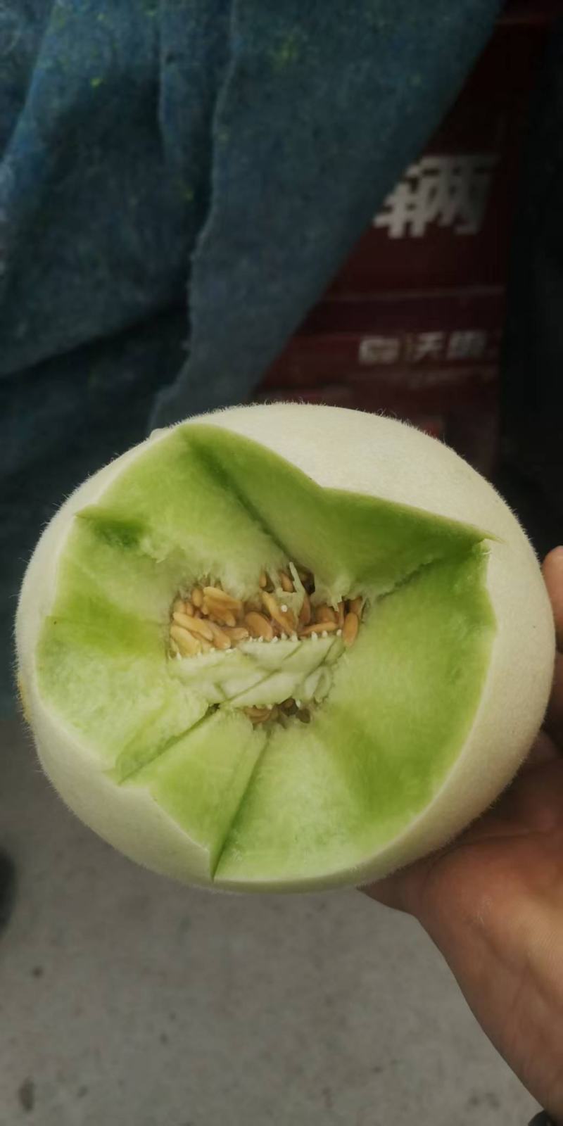 玉菇甜瓜，产地直发，诚信经营，品质保证，服务周到，货源足