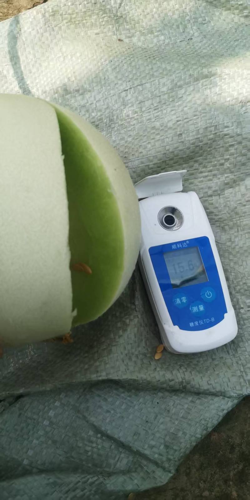 玉菇甜瓜，产地直发，诚信经营，品质保证，服务周到，货源足