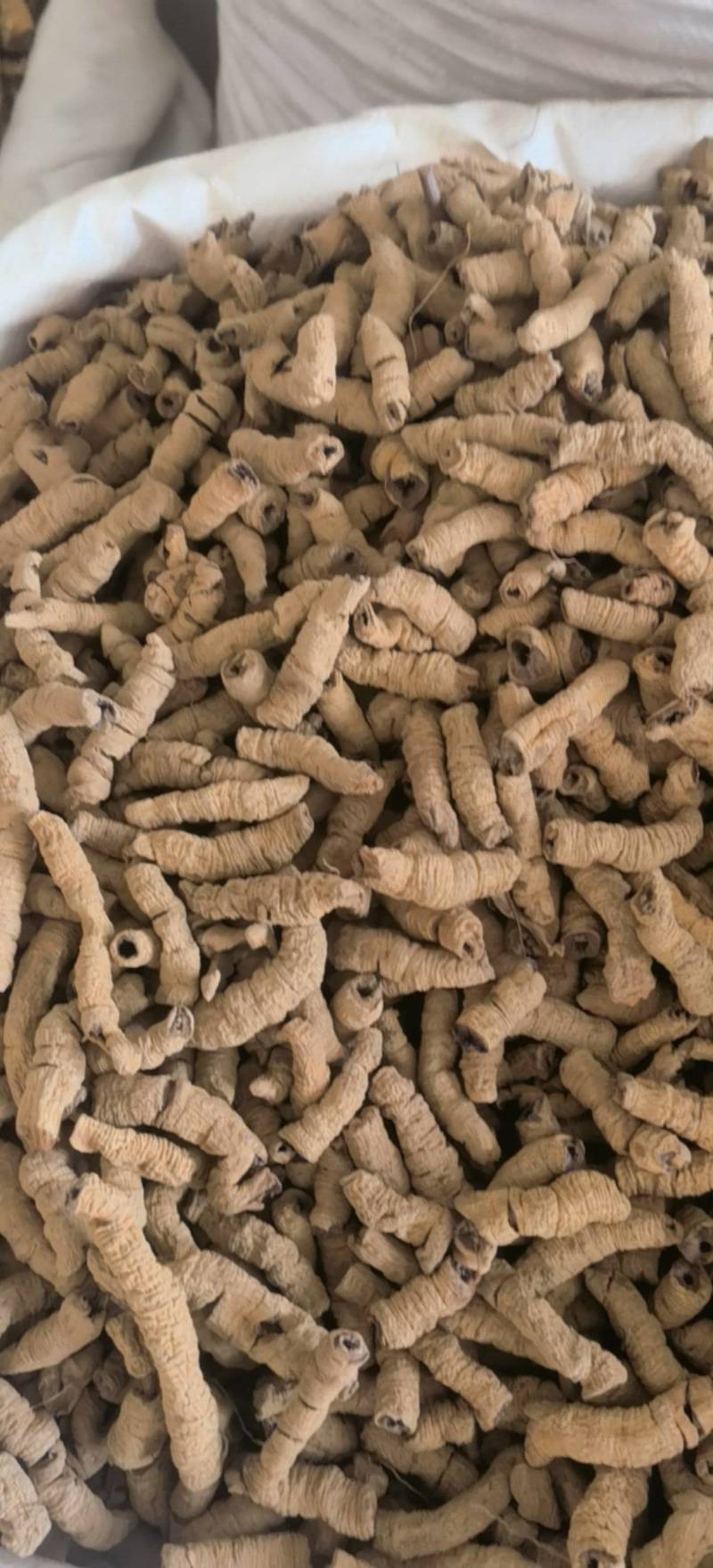 巴戟，巴戟肉，中肉全抽芯大统足干关书药业