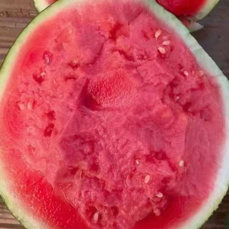 夏邑本地万亩美都西瓜