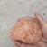 鸡宝