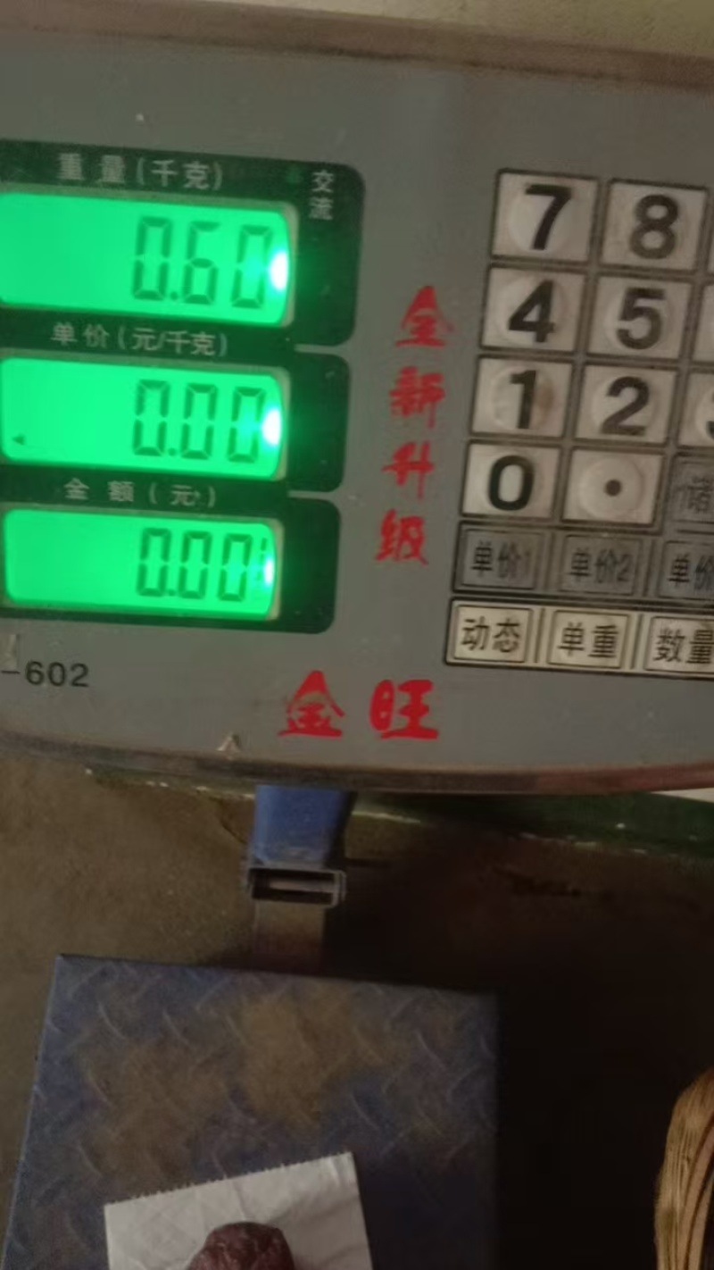 鸡宝