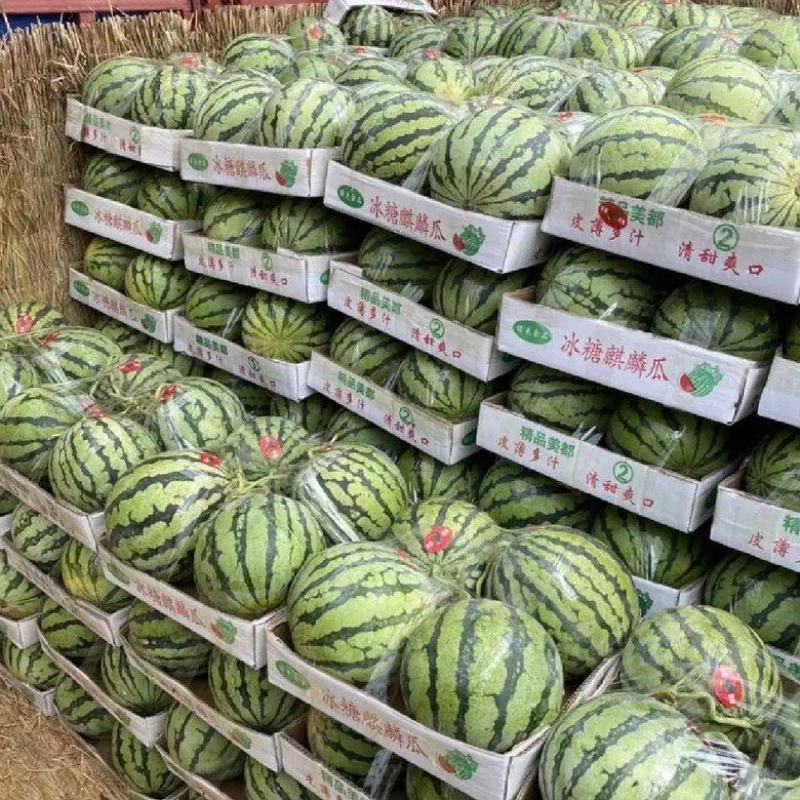 精品西瓜冰糖心西瓜口感脆甜保质保量一手资源欢迎咨询