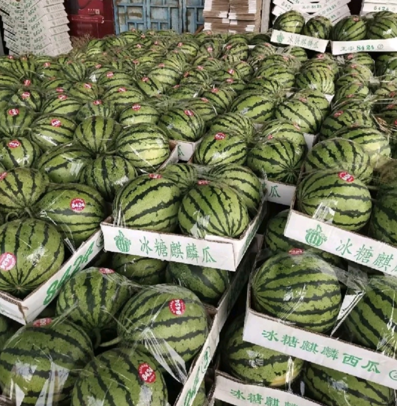 精品西瓜冰糖心西瓜口感脆甜保质保量一手资源欢迎咨询