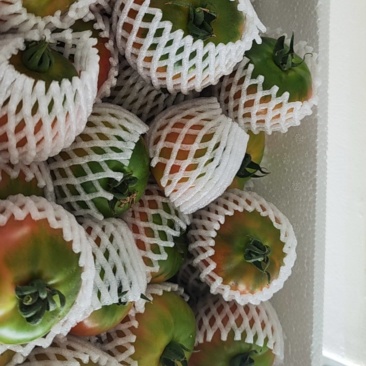 精品草莓西红柿，赶集货都有