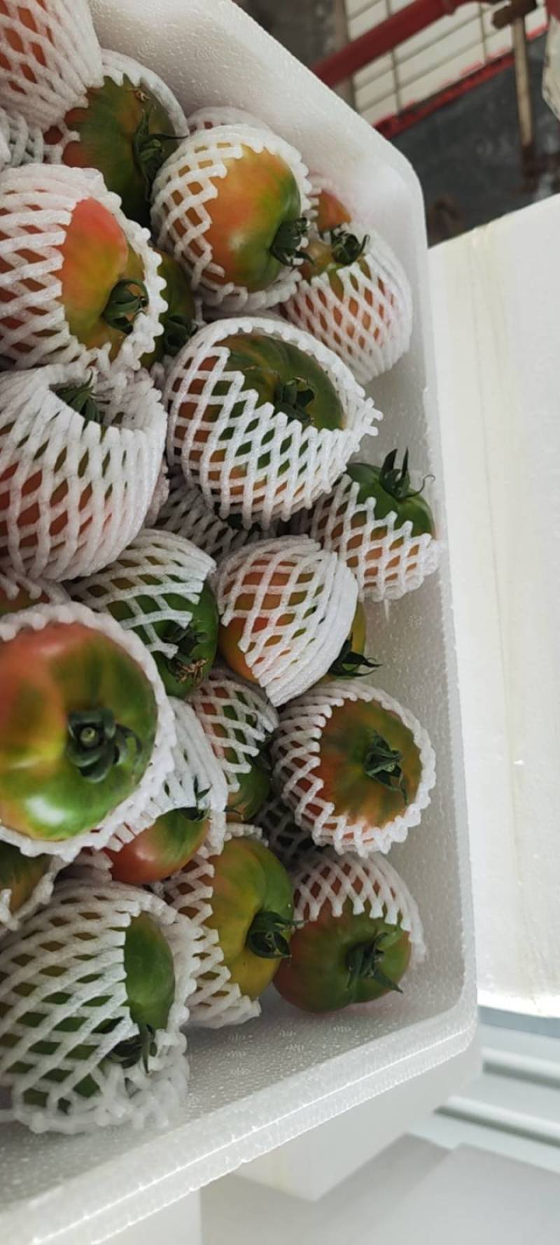 精品草莓西红柿，赶集货都有