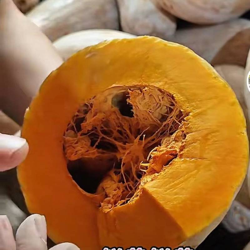 金韩南瓜大量供应