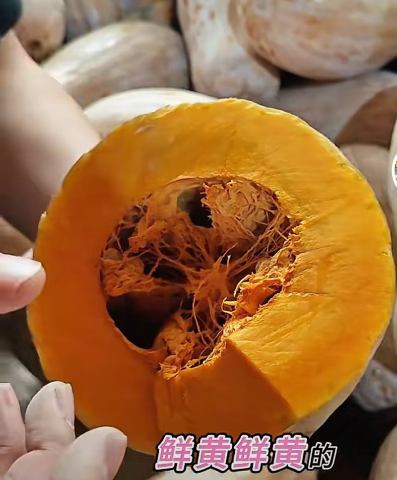金韩南瓜大量供应