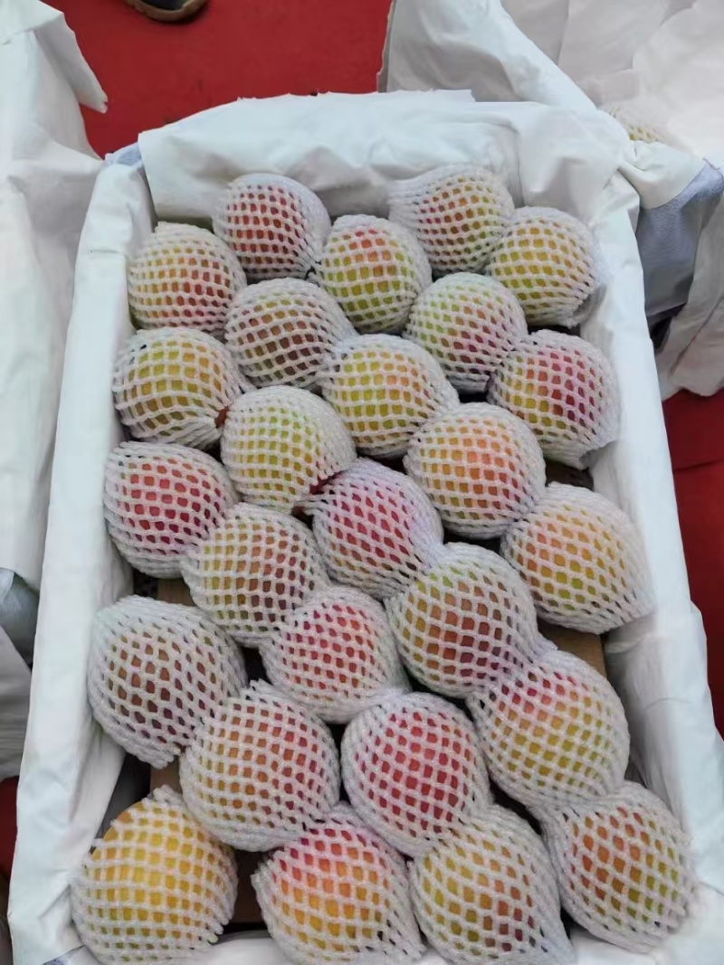丰园红杏需要的老板联系