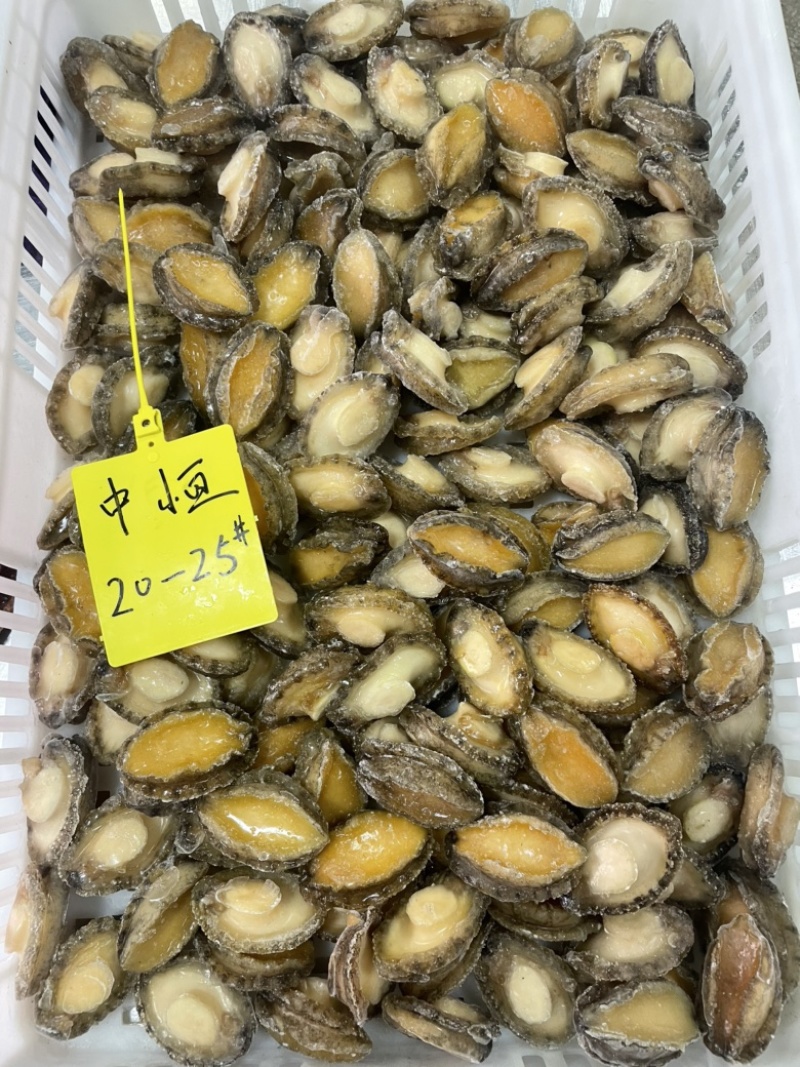 鲍鱼肉供应酒店餐厅佛跳墙炖盅食材20-25头冻品批发