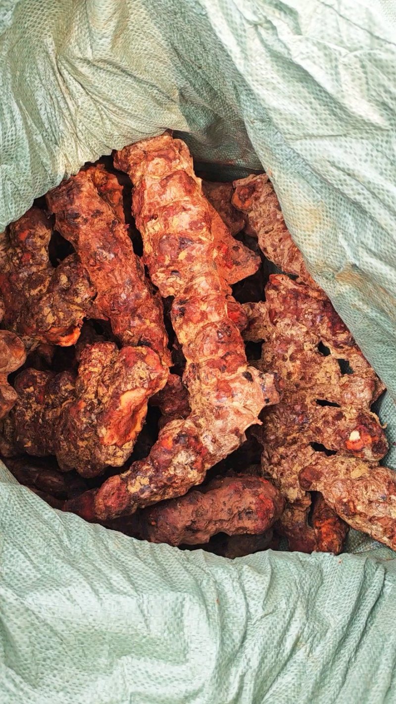 新鲜云南土茯苓白肉粉质煲汤甘甜质量货源稳定
