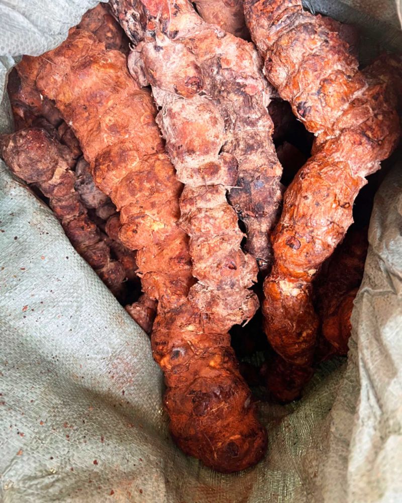 新鲜云南土茯苓白肉粉质煲汤甘甜质量货源稳定