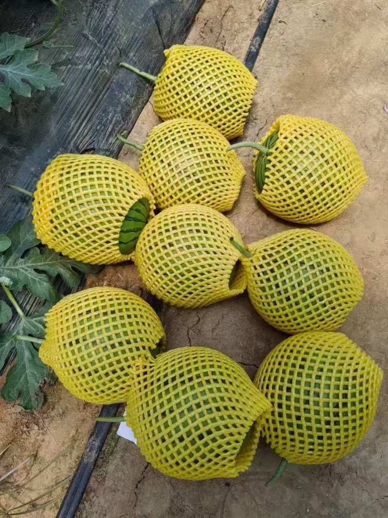 陕西蒲城吊瓜，口感好，甜度高，瓤口红