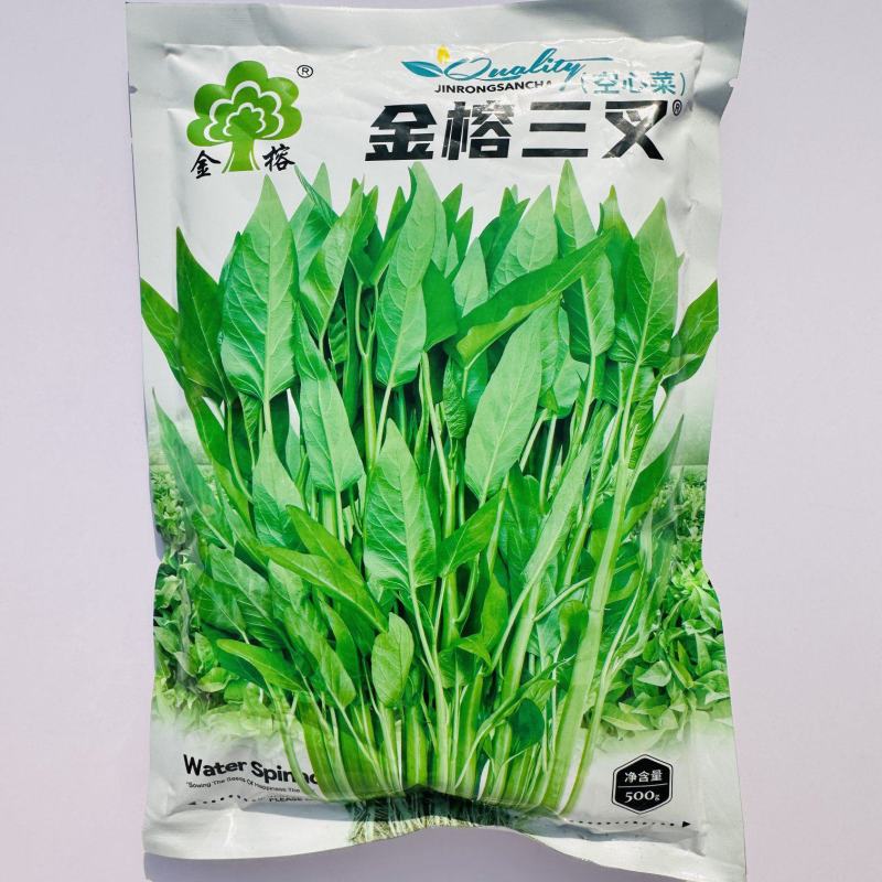 三叉空心菜种子春夏季耐热旱地水地均可种植大梗空心菜种子