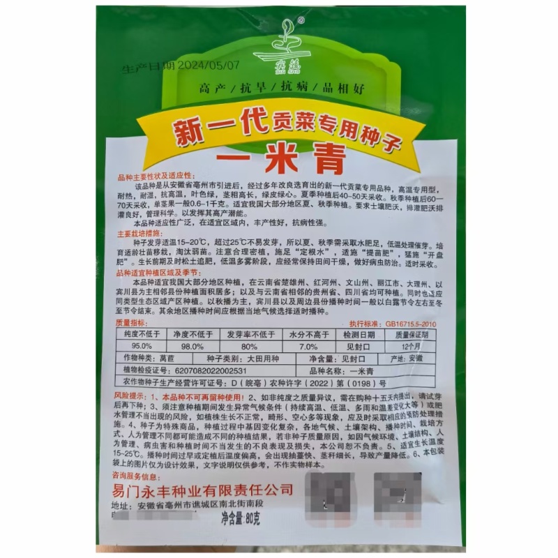 贡菜一米青贡菜专用种子优选提纯高产抗旱抗病品相好