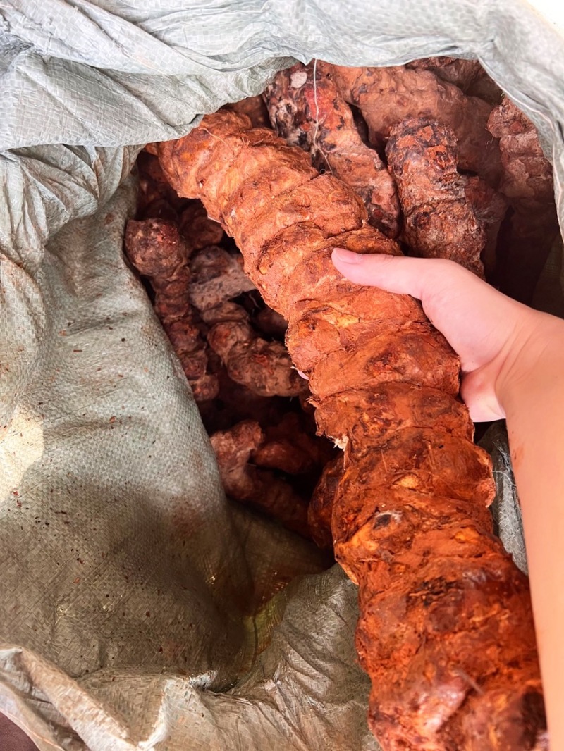 新鲜云南土茯苓白肉粉质煲汤甘甜质量货源稳定