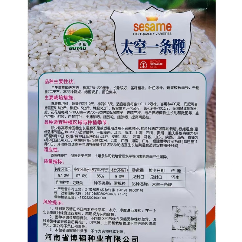 太空一条鞭白芝麻种子高产高油白芝麻种籽耐旱杂粮种子抗倒伏
