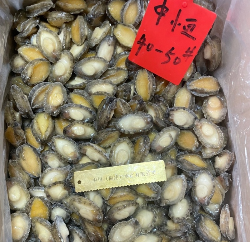 鲍鱼肉供应酒店餐饮自助餐火锅佛跳墙40-50头冻品批发