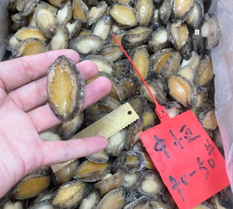 鲍鱼肉供应酒店餐饮自助餐火锅佛跳墙40-50头冻品批发