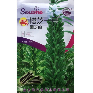 塔芝一号黑芝麻种子高产抗病抗倒芝麻种籽大田种植种孑原装