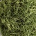 石竹茶竹叶茶正宗崂山淡石竹茶石竹青新鲜青竹叶嫩芽竹叶青茶