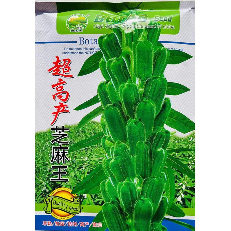 高产芝麻王白芝麻种子早熟单杆型高油高产抗病抗倒伏春夏季