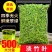 石竹茶竹叶茶正宗崂山淡石竹茶石竹青新鲜青竹叶嫩芽竹叶青茶
