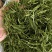石竹茶竹叶茶正宗崂山淡石竹茶石竹青新鲜青竹叶嫩芽竹叶青茶