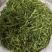 石竹茶竹叶茶正宗崂山淡石竹茶石竹青新鲜青竹叶嫩芽竹叶青茶