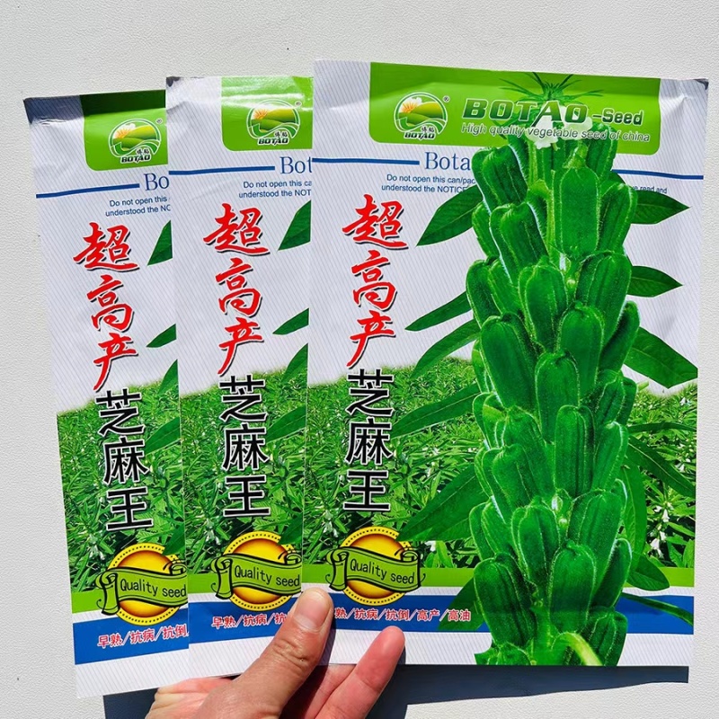 高产芝麻王白芝麻种子早熟单杆型高油高产抗病抗倒伏春夏季