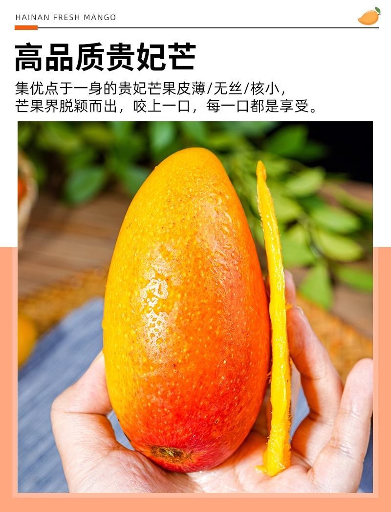 【贵妃芒】正宗广西百色贵妃芒产地现摘现发精品芒果
