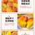 【贵妃芒】正宗广西百色贵妃芒产地现摘现发精品芒果
