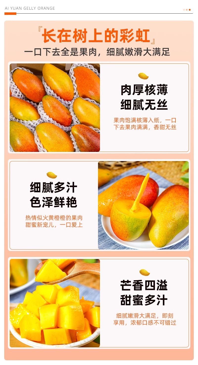 【贵妃芒】正宗广西百色贵妃芒产地现摘现发精品芒果