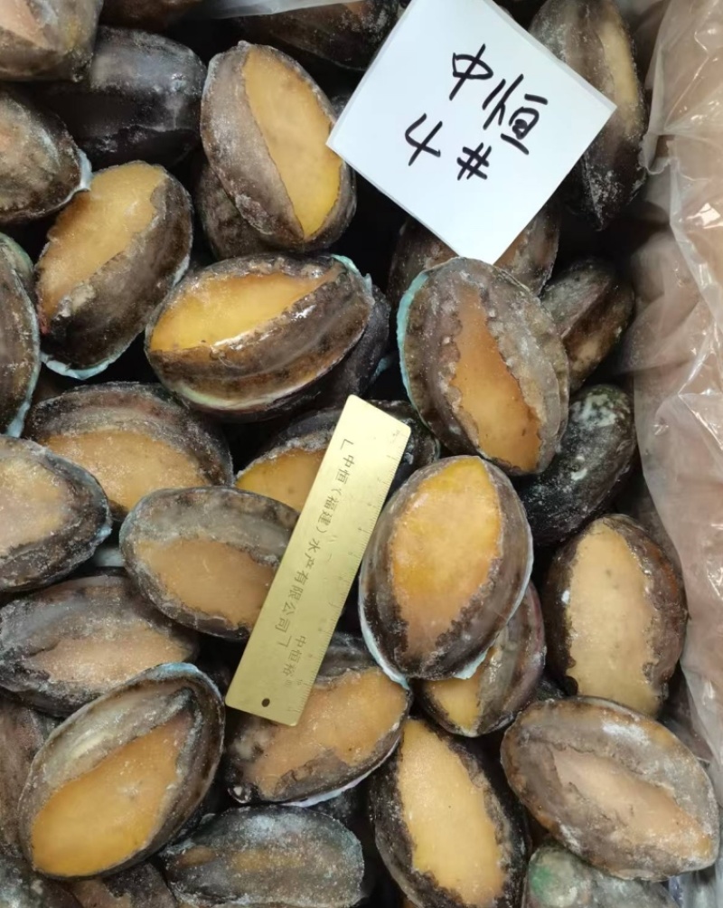 鲍鱼活冻鲍鱼低温保鲜海鲜水产品大鲍鱼4头厂家冻品批发