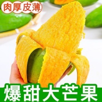 【精选】大青芒海南直发各品种芒果齐全一手货源