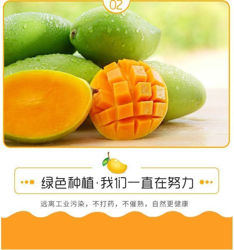 【精选】大青芒海南直发各品种芒果齐全一手货源