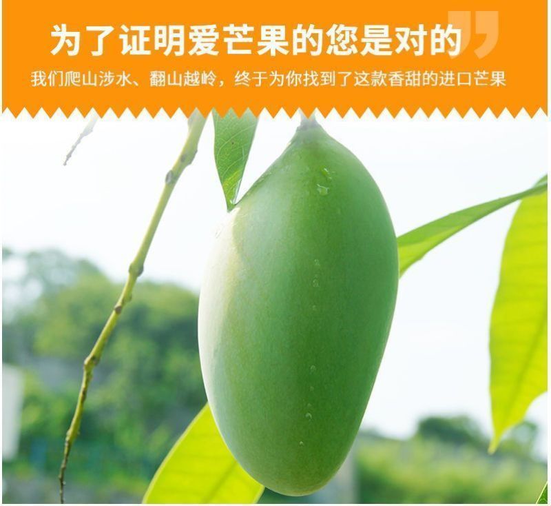 【精选】大青芒海南直发各品种芒果齐全一手货源