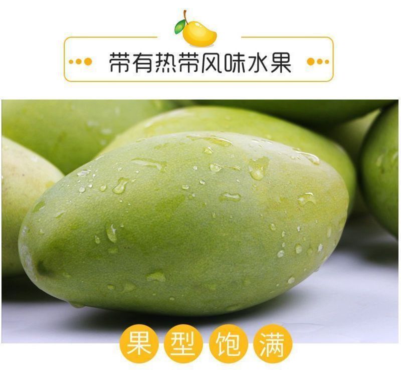 【精选】大青芒海南直发各品种芒果齐全一手货源
