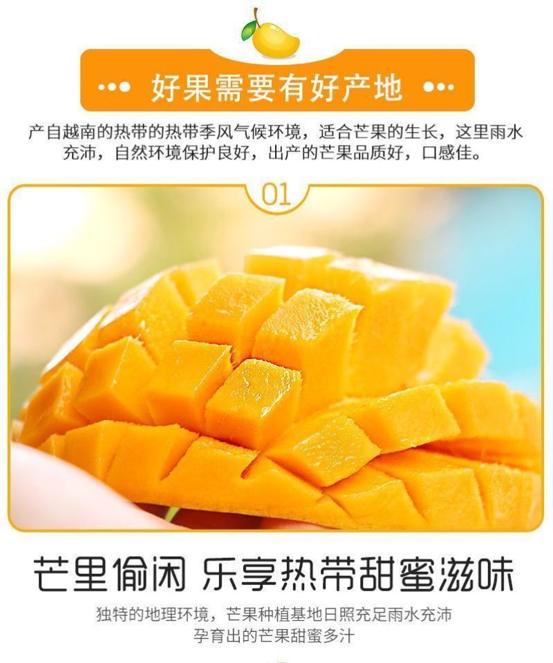 【精选】大青芒海南直发各品种芒果齐全一手货源