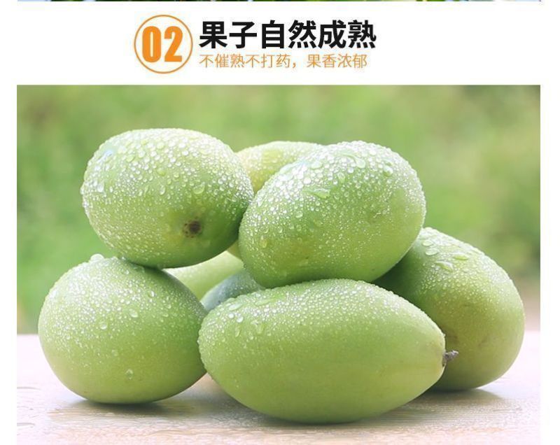 【精选】大青芒海南直发各品种芒果齐全一手货源