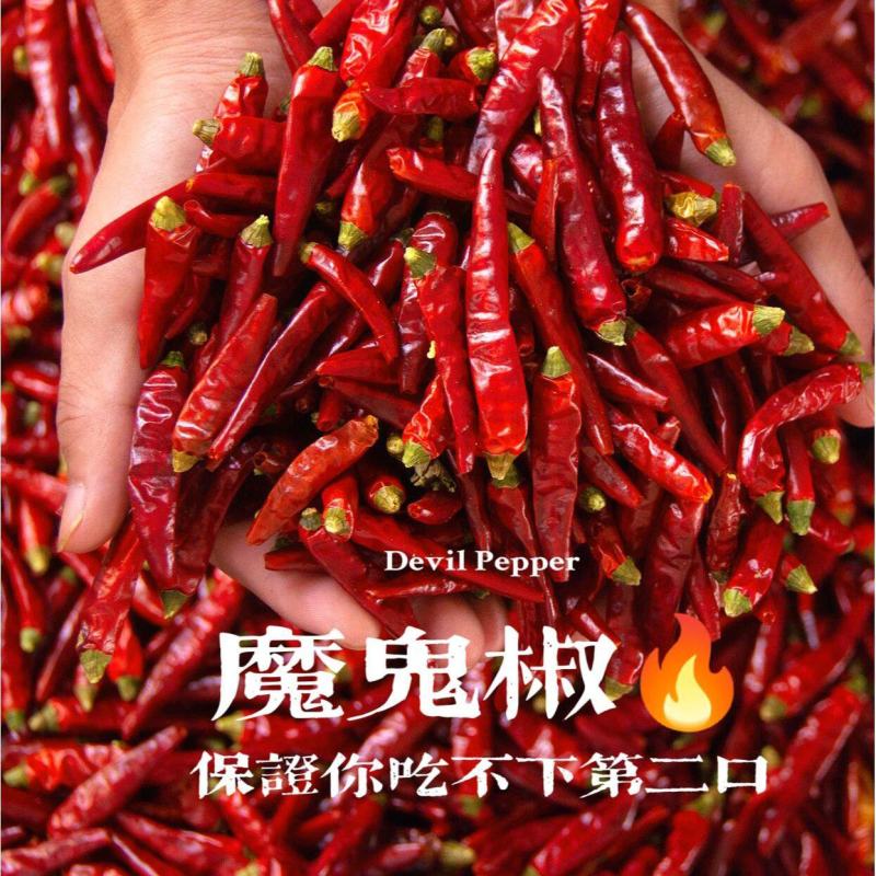 进口印度S17魔鬼辣椒及各种干辣椒品种规格齐全量大从优