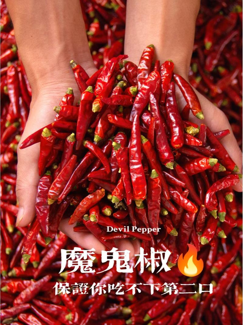 进口印度S17魔鬼辣椒及各种干辣椒品种规格齐全量大从优