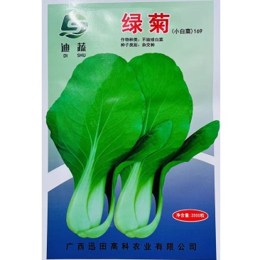 杂交一代绿菊不结球白菜种子味甜纤维少丰产抗病性好大田用种