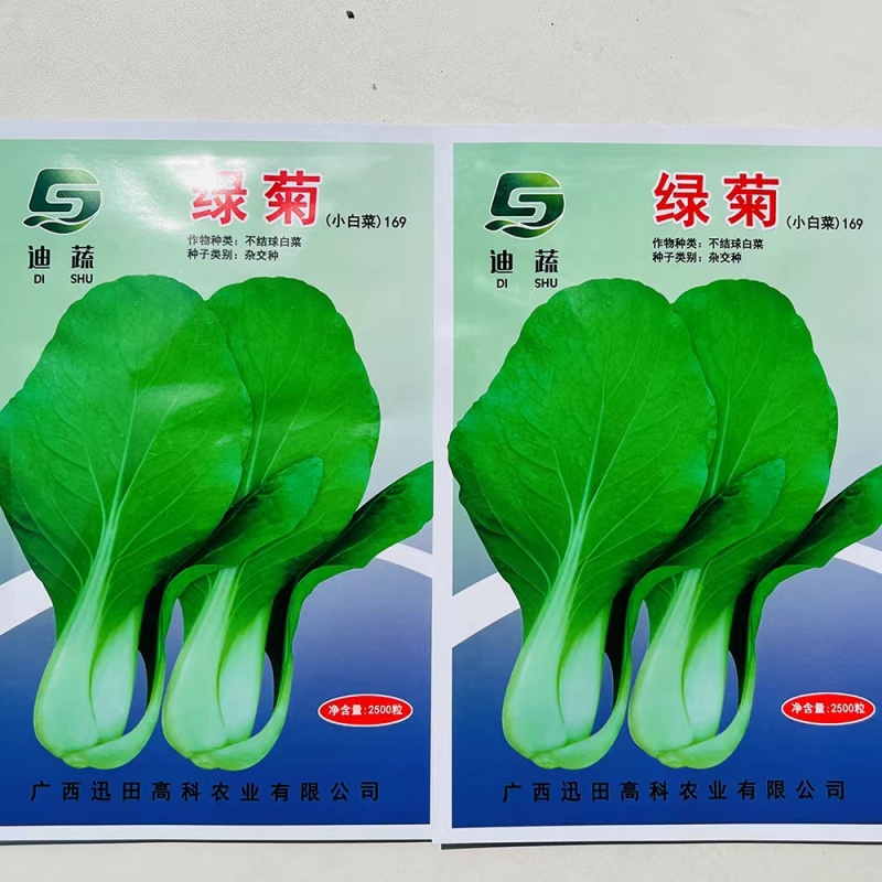 杂交一代绿菊不结球白菜种子味甜纤维少丰产抗病性好大田用种