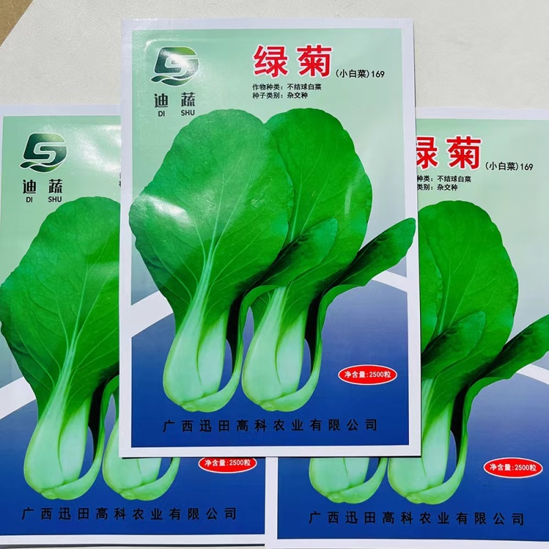 杂交一代绿菊不结球白菜种子味甜纤维少丰产抗病性好大田用种
