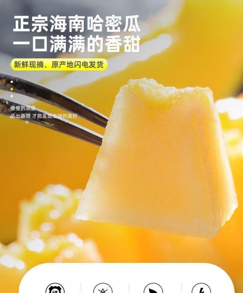 哈密瓜晓蜜25海南产地直供专业代办代发各种应季水果