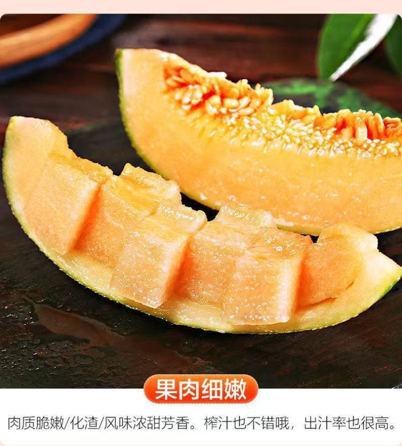 哈密瓜晓蜜25海南产地直供专业代办代发各种应季水果
